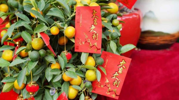 5 Paires Chaussettes Rouges du Nouvel An Chinois Lunaire Respirant