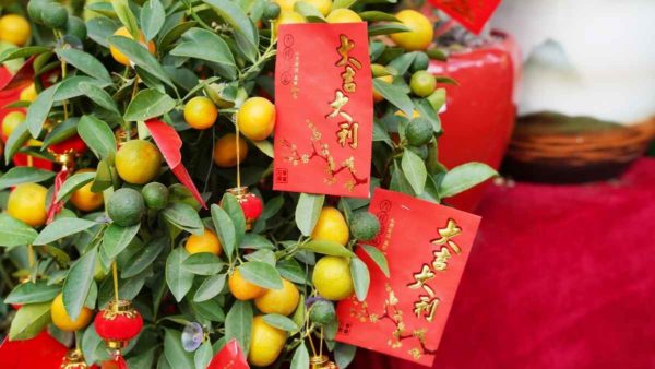 These Sustainable Red Envelopes For Chinese New Year are Designed